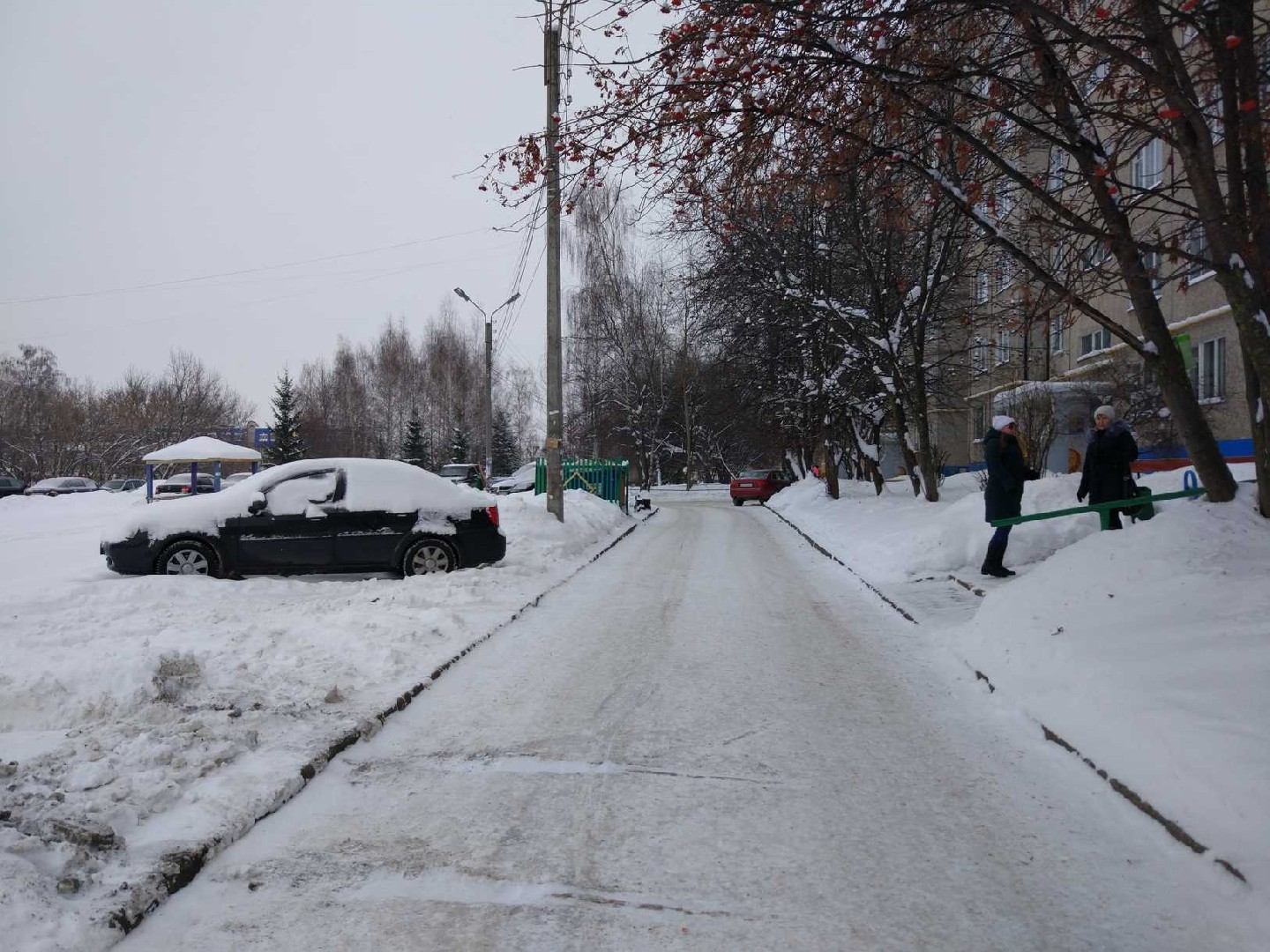 Респ. Чувашская, г. Чебоксары, ул. Гражданская, д. 62/1-придомовая территория