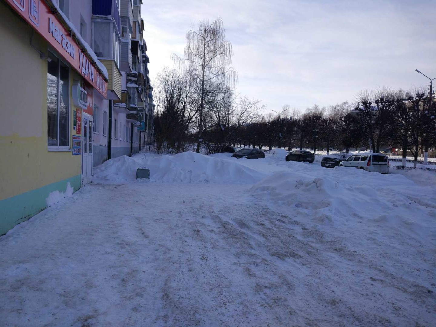 Респ. Чувашская, г. Чебоксары, ул. Космонавта Николаева А.Г., д. 42-придомовая территория