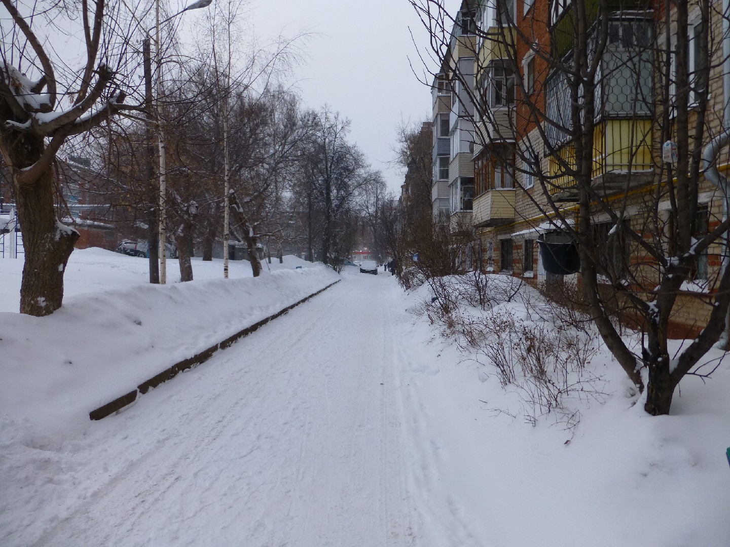 Респ. Чувашская, г. Чебоксары, ул. Маршака, д. 6-придомовая территория